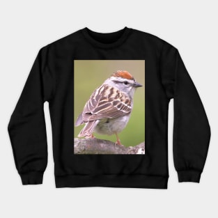 Chipping Sparrow on a big curled tree branch Crewneck Sweatshirt